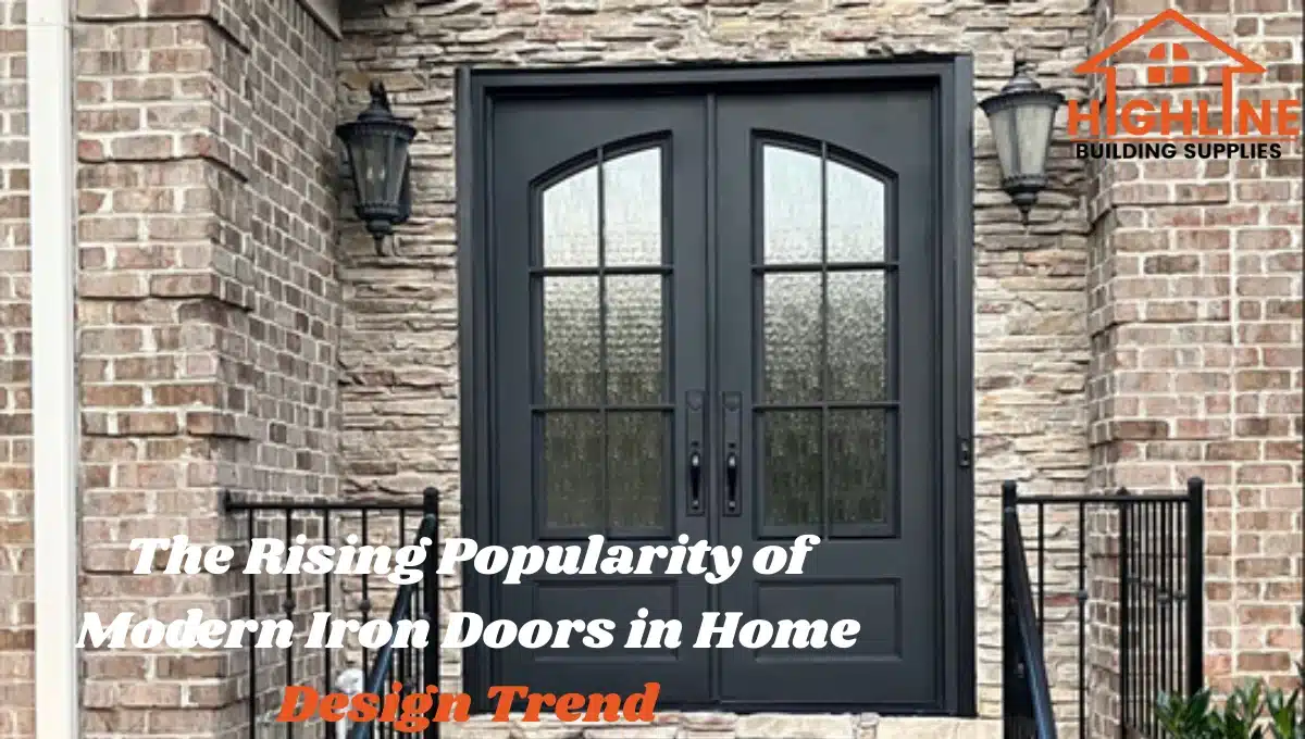 modern iron doors
