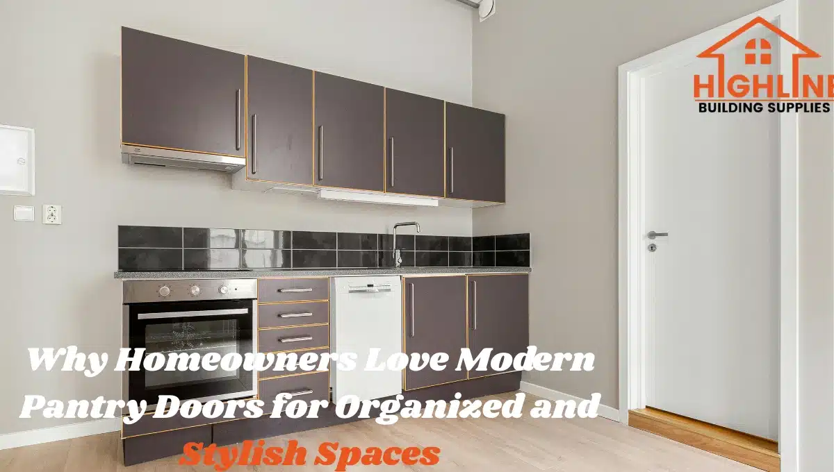modern pantry doors